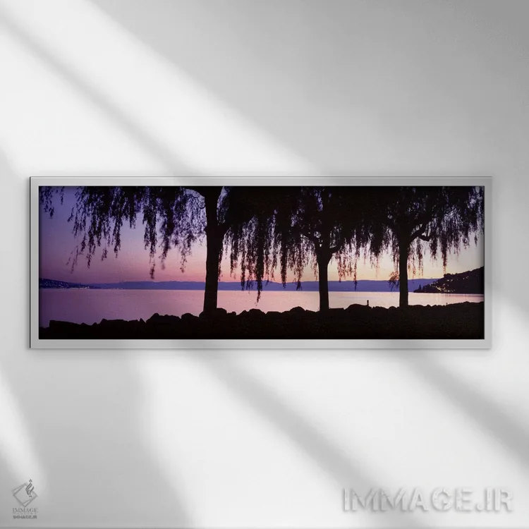 تابلو درختان بید ریزان، دریاچه ژنو، سنت سافورین، سوئیس اثر پانورامیک ایمجز (استودیو عکاسی عریض) - نمای قابدار سفید