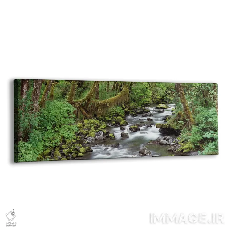 تابلو جویبار، پارک ملی المپیک، واشنگتن، آمریکا اثر پانورامیک ایمجز (استودیو عکاسی عریض) - نمای پرسپکتیو محصول