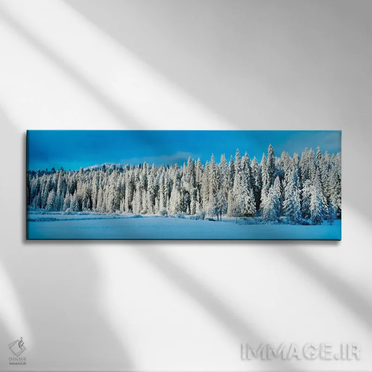 تابلو "دشت وانونا در زمستان، پارک ملی یوسمیت، کالیفرنیا، ایالات متحده آمریکا" اثر پانورامیک ایمجز (استودیو عکاسی عریض) - نمای روبهرو روی دیوار