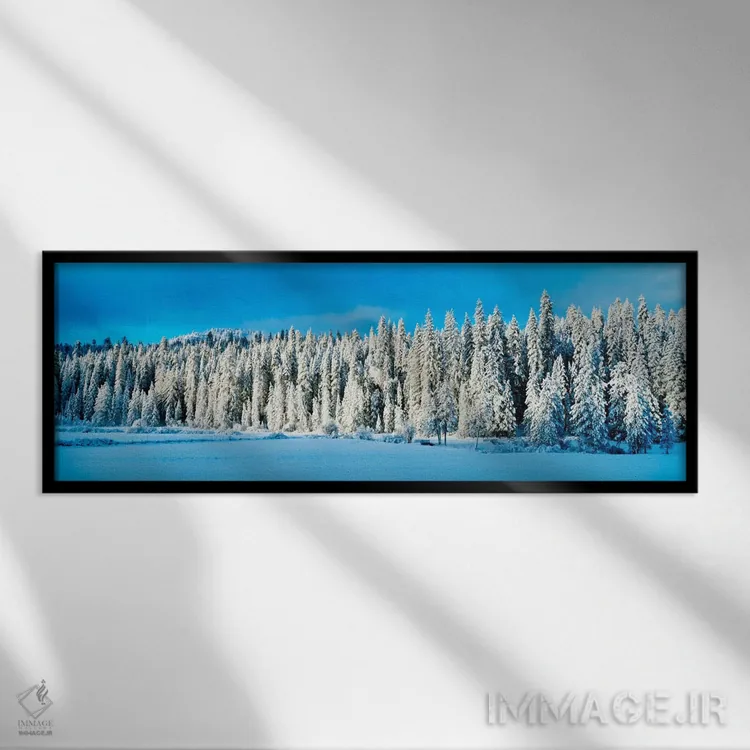 تابلو "دشت وانونا در زمستان، پارک ملی یوسمیت، کالیفرنیا، ایالات متحده آمریکا" اثر پانورامیک ایمجز (استودیو عکاسی عریض) - نمای قابدار مشکی