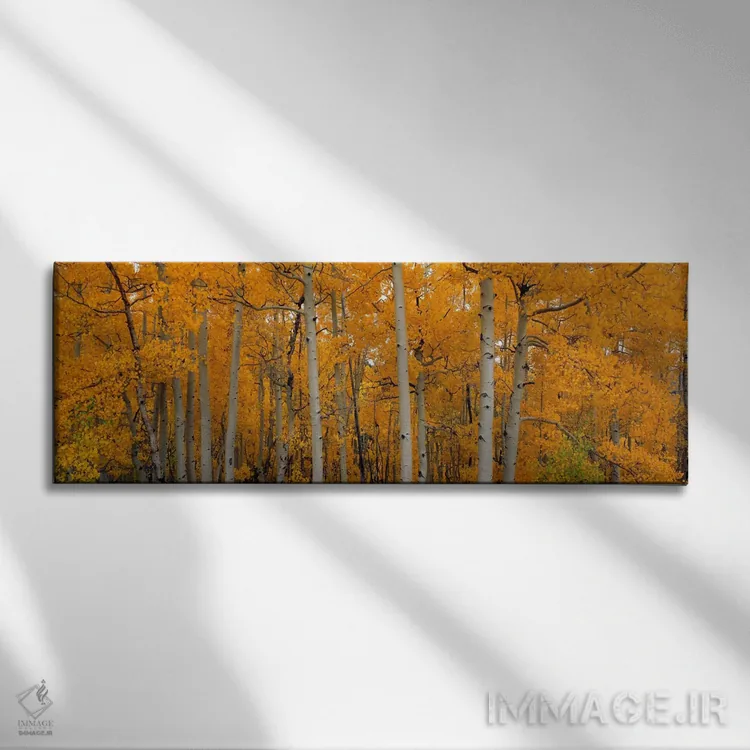 تابلو "درختان اسپن لرزان، جنگل ملی دیکسی، یوتا، ایالات متحده آمریکا" اثر پانورامیک ایمجز (استودیو عکاسی عریض) - نمای روبهرو روی دیوار