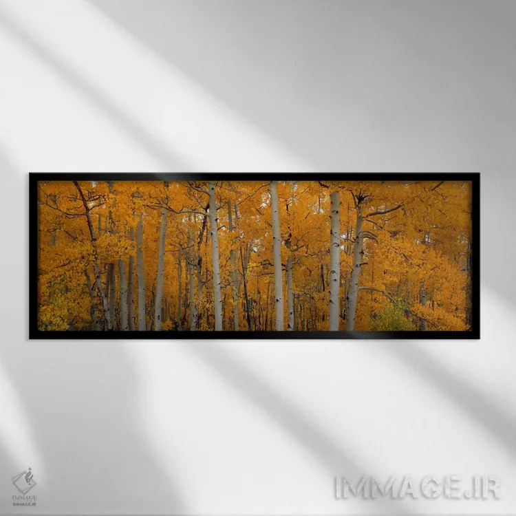تابلو "درختان اسپن لرزان، جنگل ملی دیکسی، یوتا، ایالات متحده آمریکا" اثر پانورامیک ایمجز (استودیو عکاسی عریض) - نمای قابدار مشکی
