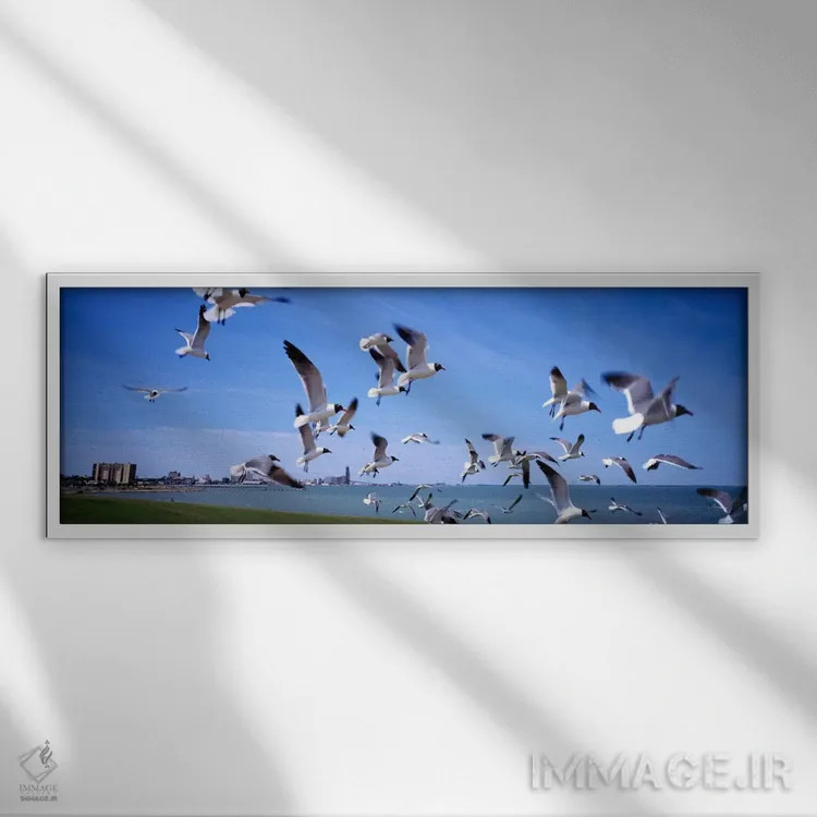 تابلو "گلهای از مرغهای دریایی که در حال پرواز بر ساحل هستند، ایالت نیویورک، ایالات متحده آمریکا" اثر پانورامیک ایمجز (استودیو عکاسی عریض) - نمای قابدار سفید