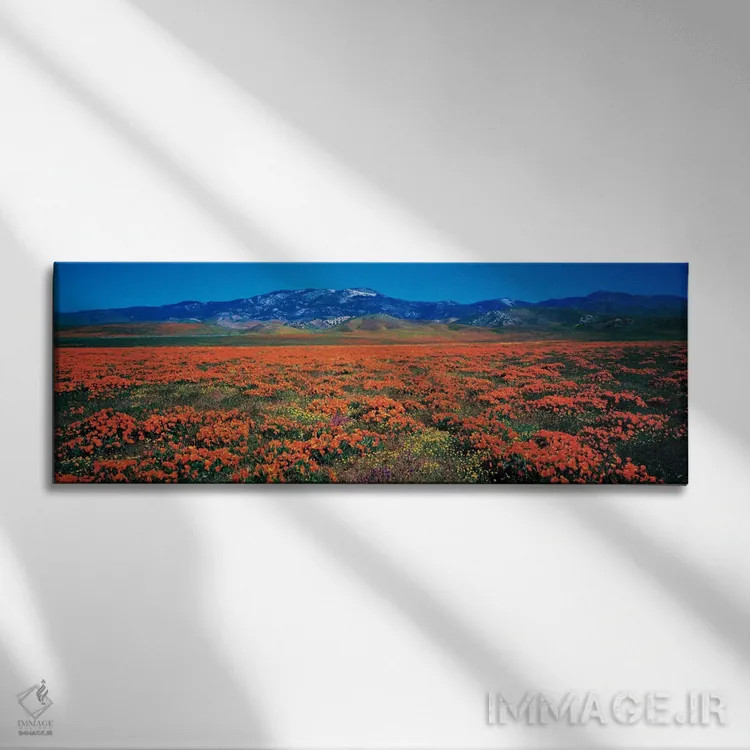 تابلو "محیط ذخیرهگاه گلهای خالدار در دره آنتلوپ، شهرستان لسآنجلس، کالیفرنیا، ایالات متحده آمریکا" اثر پانورامیک ایمجز (استودیو عکاسی عریض) - نمای روبهرو روی دیوار