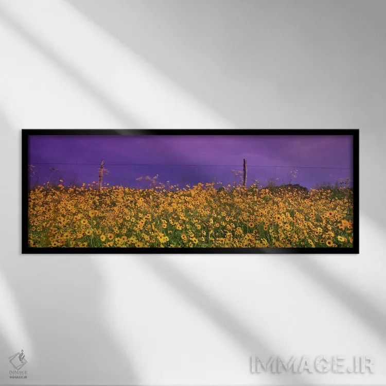 تابلو "دشت گیاه تیکسید (کروپسیس) در کنار یک حصار، تگزاس، ایالات متحده آمریکا" اثر پانورامیک ایمجز (استودیو عکاسی عریض) - نمای قابدار مشکی