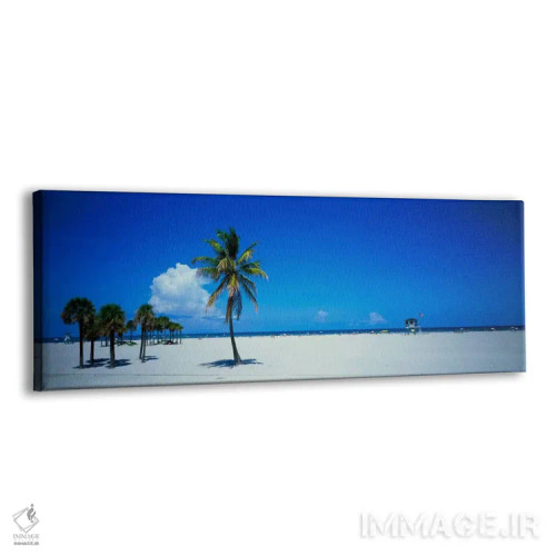 تابلو "میامی، فلوریدا، ایالات متحده آمریکا #۲" اثر پانورامیک ایمجز (استودیو عکاسی عریض) - نمای پرسپکتیو محصول