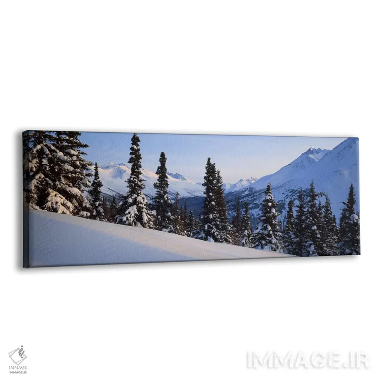 تابلو "کوههای چگاچ زمستانی، آلاسکا" اثر پانورامیک ایمجز (استودیو عکاسی عریض) - نمای پرسپکتیو محصول