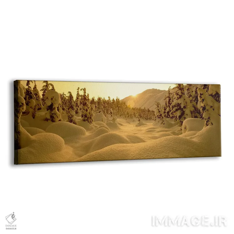 تابلو "چشمانداز زمستانی برفی در غروب، گذرگاه ترناگین، شبهجزیره کنی، آلاسکا، ایالات متحده آمریکا" اثر پانورامیک ایمجز (استودیو عکاسی عریض) - نمای پرسپکتیو محصول