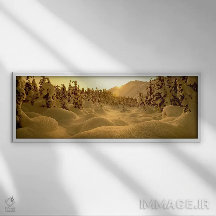 تابلو "چشمانداز زمستانی برفی در غروب، گذرگاه ترناگین، شبهجزیره کنی، آلاسکا، ایالات متحده آمریکا" اثر پانورامیک ایمجز (استودیو عکاسی عریض) - نمای قابدار سفید