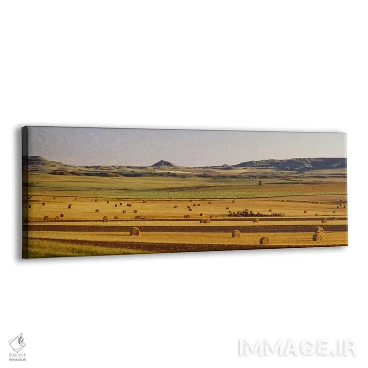 تابلو سرزمین شیبدار، داکوتای شمالی، آمریکا اثر پانورامیک ایمجز (استودیو عکاسی عریض) - نمای پرسپکتیو محصول