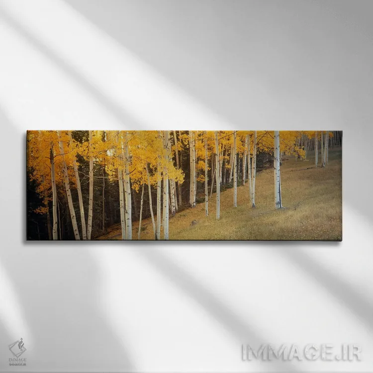 تابلو Ouray County, Colorado, USA,درختان آسپن در دشتی در شهرستان اورای، کلرادو، آمریکا اثر پانورامیک ایمجز (استودیو عکاسی عریض) - نمای روبهرو روی دیوار