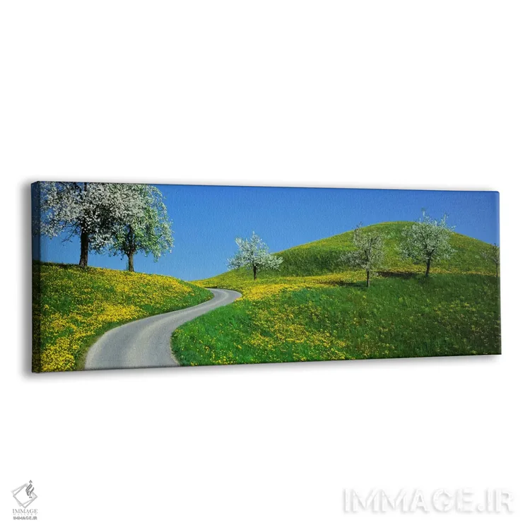تابلو جادهٔ پیچدرپیچ، کانتون، سوئیس اثر پانورامیک ایمجز (استودیو عکاسی عریض) - نمای پرسپکتیو محصول