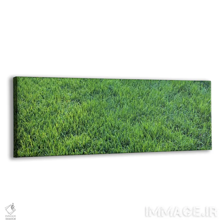 تابلو چمن، ساکرامنتو، کالیفرنیا، آمریکا اثر پانورامیک ایمجز (استودیو عکاسی عریض) - نمای پرسپکتیو محصول