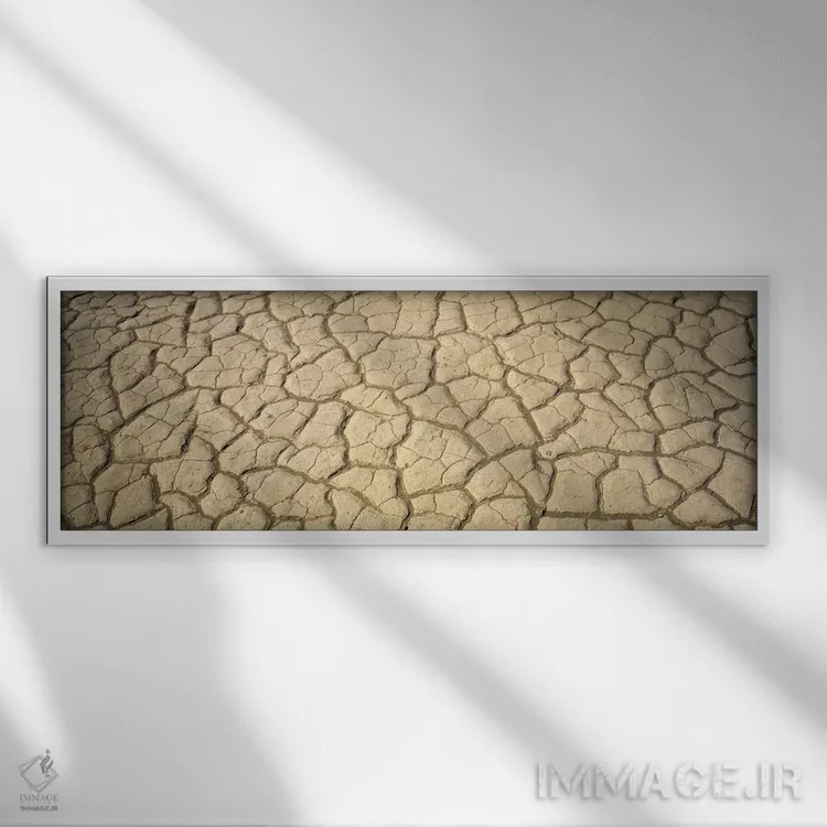 تابلو گل خشکشده، دره مرگ، کالیفرنیا، آمریکا اثر پانورامیک ایمجز (استودیو عکاسی عریض) - نمای قابدار سفید