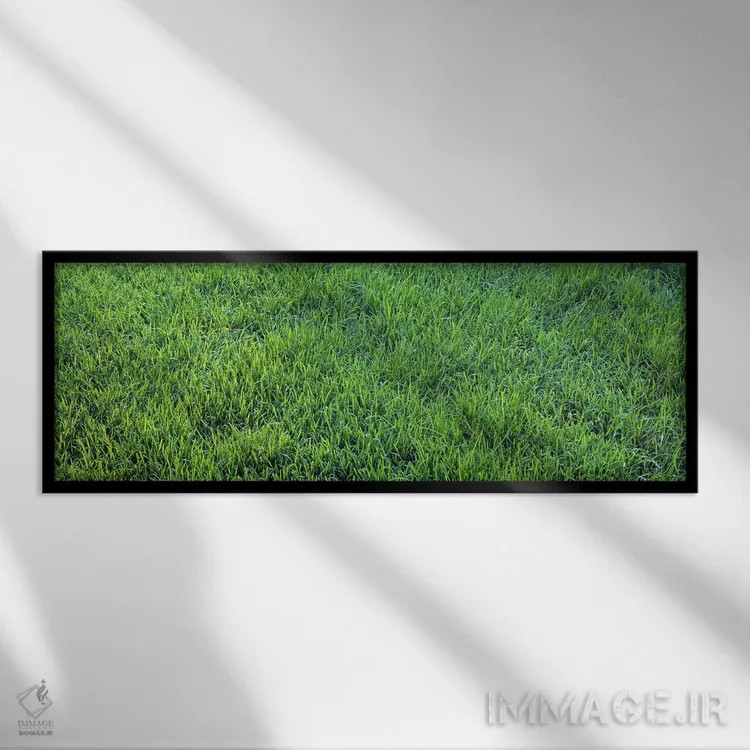 تابلو چمن، ساکرامنتو، کالیفرنیا، آمریکا اثر پانورامیک ایمجز (استودیو عکاسی عریض) - نمای قابدار مشکی