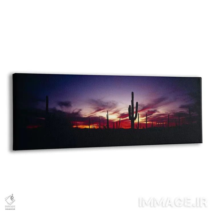 تابلو Saguaro National Park, Pima County, Arizona, USA,غروب درخشان، پارک ملی ساگوارو، شهرستان پیما، آریزونا، آمریکا اثر پانورامیک ایمجز (استودیو عکاسی عریض) - نمای پرسپکتیو محصول