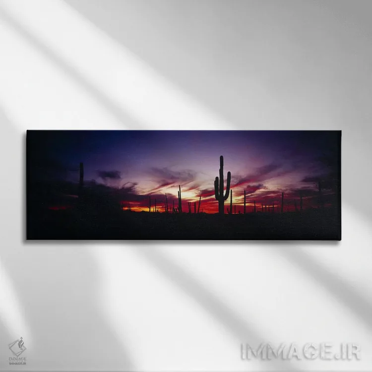 تابلو Saguaro National Park, Pima County, Arizona, USA,غروب درخشان، پارک ملی ساگوارو، شهرستان پیما، آریزونا، آمریکا اثر پانورامیک ایمجز (استودیو عکاسی عریض) - نمای روبهرو روی دیوار