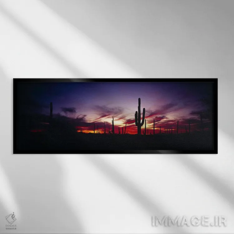 تابلو Saguaro National Park, Pima County, Arizona, USA,غروب درخشان، پارک ملی ساگوارو، شهرستان پیما، آریزونا، آمریکا اثر پانورامیک ایمجز (استودیو عکاسی عریض) - نمای قابدار مشکی
