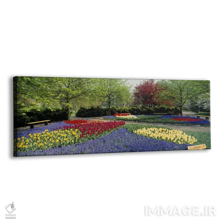 تابلو Lisse, South Holland, Netherlands,باغ کوکنهوف (باغ اروپا)، لیسه، هلند جنوبی، هلند اثر پانورامیک ایمجز (استودیو عکاسی عریض) - نمای پرسپکتیو محصول