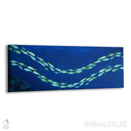 تابلو گروه ماهیها، صخره بزرگ مرجانی، استرالیا اثر پانورامیک ایمجز (استودیو عکاسی عریض) - نمای پرسپکتیو محصول