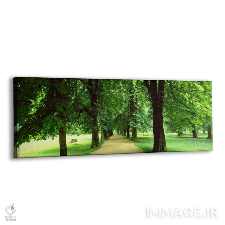 تابلو درختان، سالزبورگ، اتریش اثر پانورامیک ایمجز (استودیو عکاسی عریض) - نمای پرسپکتیو محصول