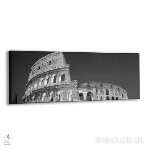تابلو Coliseum, Rome, Lazio, Italy (black & white),نمای از زاویه پایین به ویرانههای آمفیتئاتر کولوسئوم، رم، لاتزیو، ایتالیا (سیاه و سفید) اثر پانورامیک ایمجز (استودیو عکاسی عریض) - نمای پرسپکتیو محصول