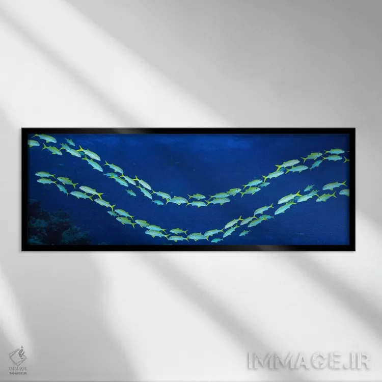 تابلو گروه ماهیها، صخره بزرگ مرجانی، استرالیا اثر پانورامیک ایمجز (استودیو عکاسی عریض) - نمای قابدار مشکی