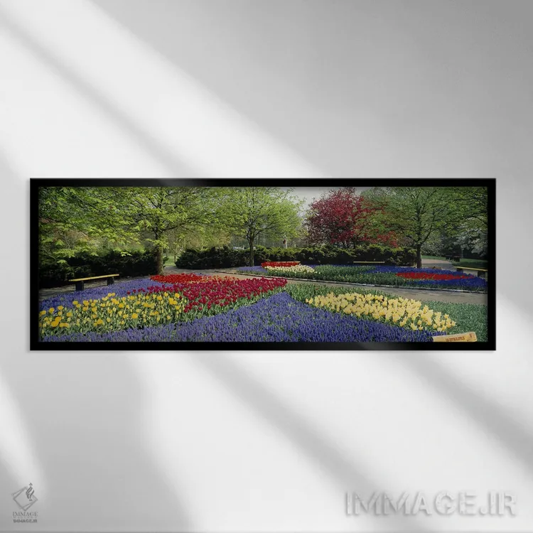 تابلو Lisse, South Holland, Netherlands,باغ کوکنهوف (باغ اروپا)، لیسه، هلند جنوبی، هلند اثر پانورامیک ایمجز (استودیو عکاسی عریض) - نمای قابدار مشکی