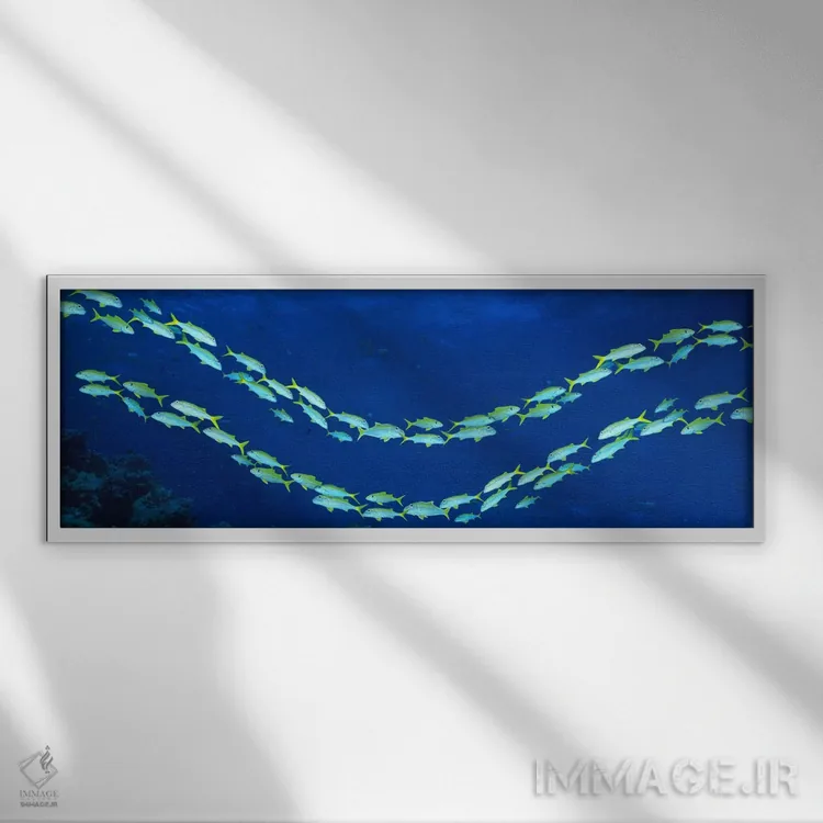تابلو گروه ماهیها، صخره بزرگ مرجانی، استرالیا اثر پانورامیک ایمجز (استودیو عکاسی عریض) - نمای قابدار سفید