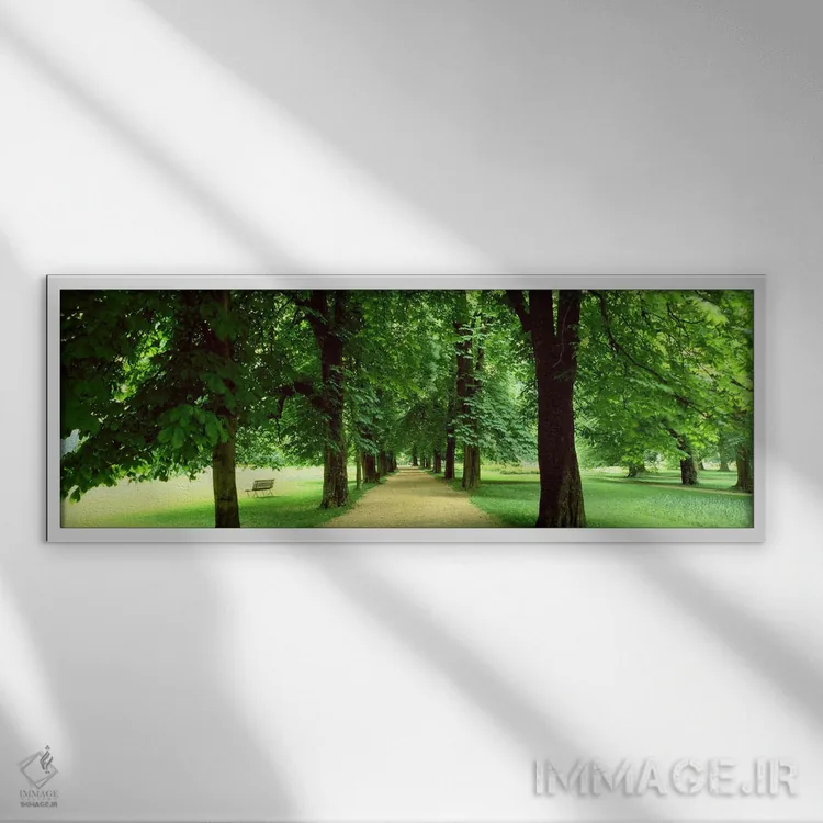 تابلو درختان، سالزبورگ، اتریش اثر پانورامیک ایمجز (استودیو عکاسی عریض) - نمای قابدار سفید