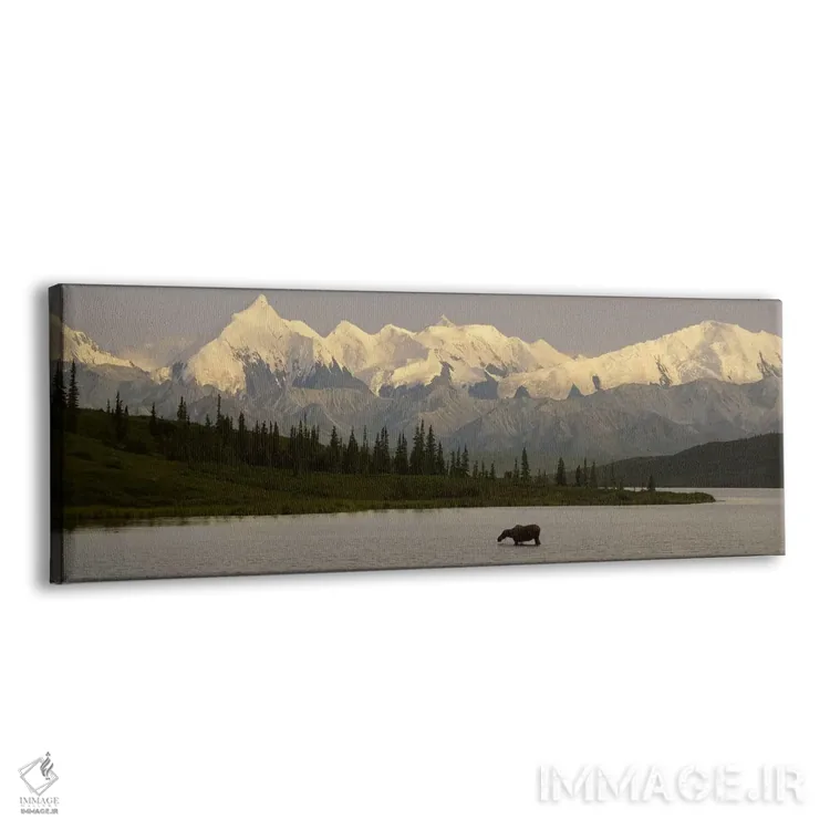 تابلو Denali National Park, Alaska, USA,گوزن شمالی ایستاده بر روی دریاچه یخزده، دریاچه واندر، پارک ملی دنالی، آلاسکا، آمریکا اثر پانورامیک ایمجز (استودیو عکاسی عریض) - نمای پرسپکتیو محصول