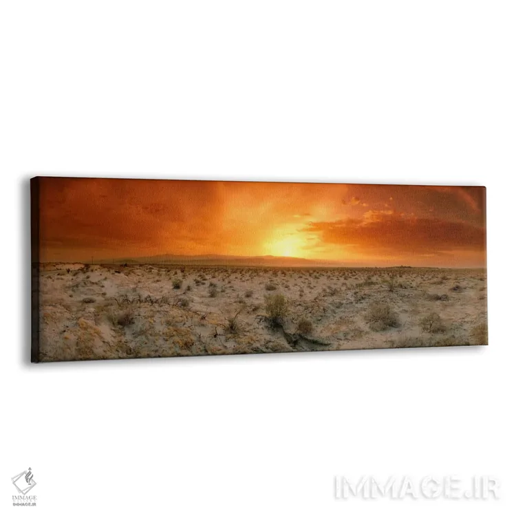 تابلو Palm Springs, Riverside County, California, USA,غروب بیابان، پالم اسپرینگز، شهرستان ریورساید، کالیفرنیا، آمریکا اثر پانورامیک ایمجز (استودیو عکاسی عریض) - نمای پرسپکتیو محصول