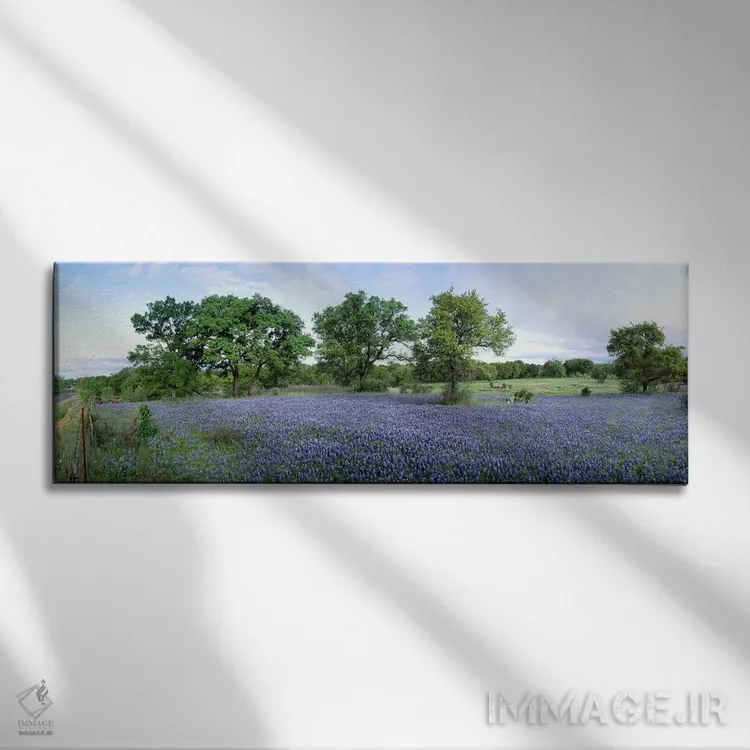 تابلو Hill County, Texas, USA,مزرعه گلهای بلوبونت، شهرستان هیل، تگزاس، آمریکا اثر پانورامیک ایمجز (استودیو عکاسی عریض) - نمای روبهرو روی دیوار