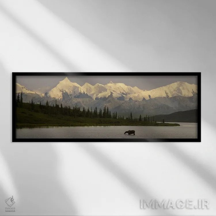 تابلو Denali National Park, Alaska, USA,گوزن شمالی ایستاده بر روی دریاچه یخزده، دریاچه واندر، پارک ملی دنالی، آلاسکا، آمریکا اثر پانورامیک ایمجز (استودیو عکاسی عریض) - نمای قابدار مشکی