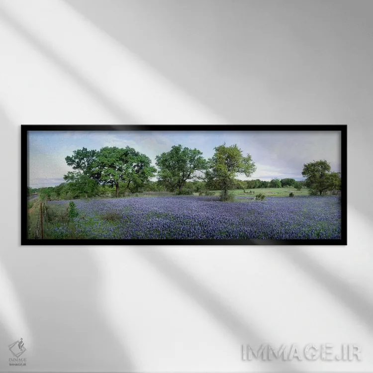 تابلو Hill County, Texas, USA,مزرعه گلهای بلوبونت، شهرستان هیل، تگزاس، آمریکا اثر پانورامیک ایمجز (استودیو عکاسی عریض) - نمای قابدار مشکی