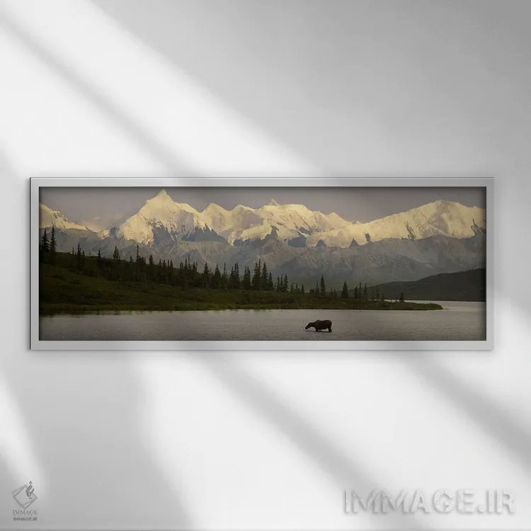 تابلو Denali National Park, Alaska, USA,گوزن شمالی ایستاده بر روی دریاچه یخزده، دریاچه واندر، پارک ملی دنالی، آلاسکا، آمریکا اثر پانورامیک ایمجز (استودیو عکاسی عریض) - نمای قابدار سفید