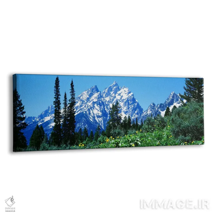 تابلو پارک ملی گرند تتون، وایومینگ، آمریکا اثر پانورامیک ایمجز (استودیو عکاسی عریض) - نمای پرسپکتیو محصول