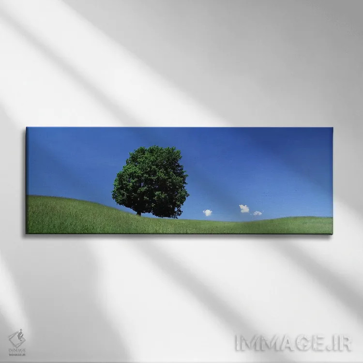 تابلو نمای درخت تنها بر دامنه تپه در تابستان اثر پانورامیک ایمجز (استودیو عکاسی عریض) - نمای روبهرو روی دیوار