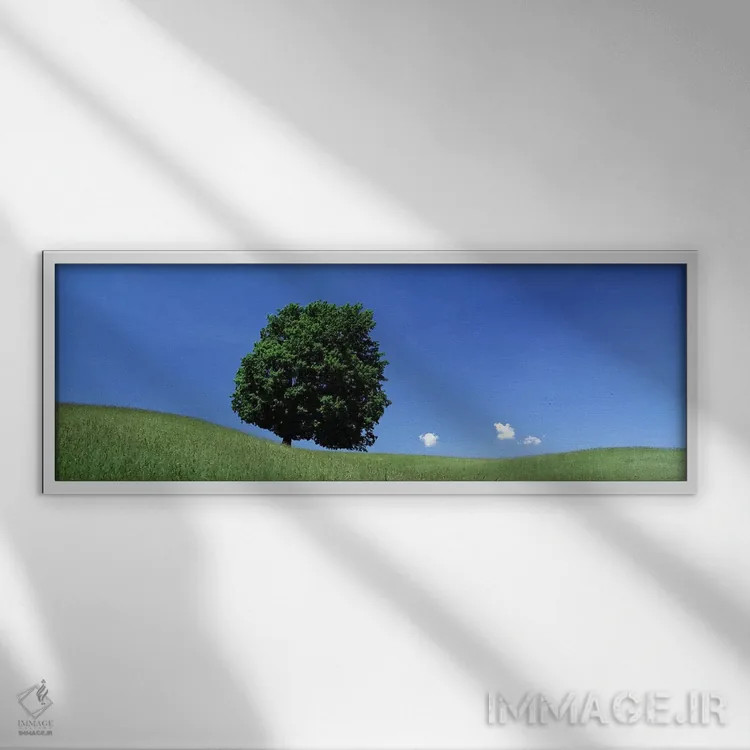 تابلو نمای درخت تنها بر دامنه تپه در تابستان اثر پانورامیک ایمجز (استودیو عکاسی عریض) - نمای قابدار سفید