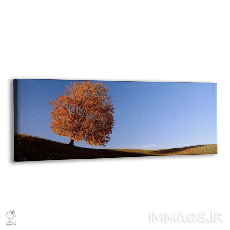 تابلو نمای درخت تنها بر تپه در پاییز اثر پانورامیک ایمجز (استودیو عکاسی عریض) - نمای پرسپکتیو محصول
