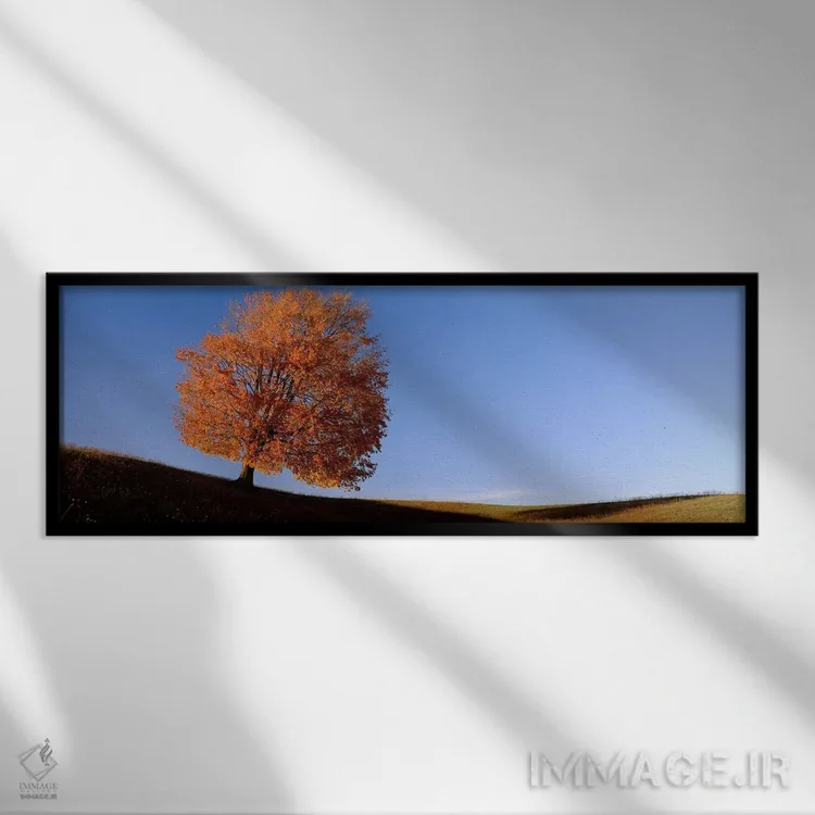 تابلو نمای درخت تنها بر تپه در پاییز اثر پانورامیک ایمجز (استودیو عکاسی عریض) - نمای قابدار مشکی