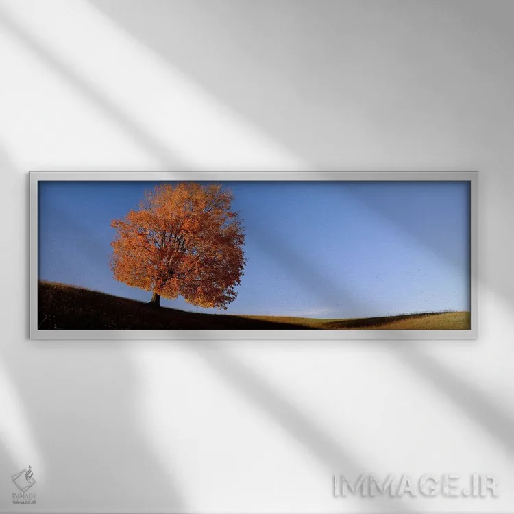 تابلو نمای درخت تنها بر تپه در پاییز اثر پانورامیک ایمجز (استودیو عکاسی عریض) - نمای قابدار سفید