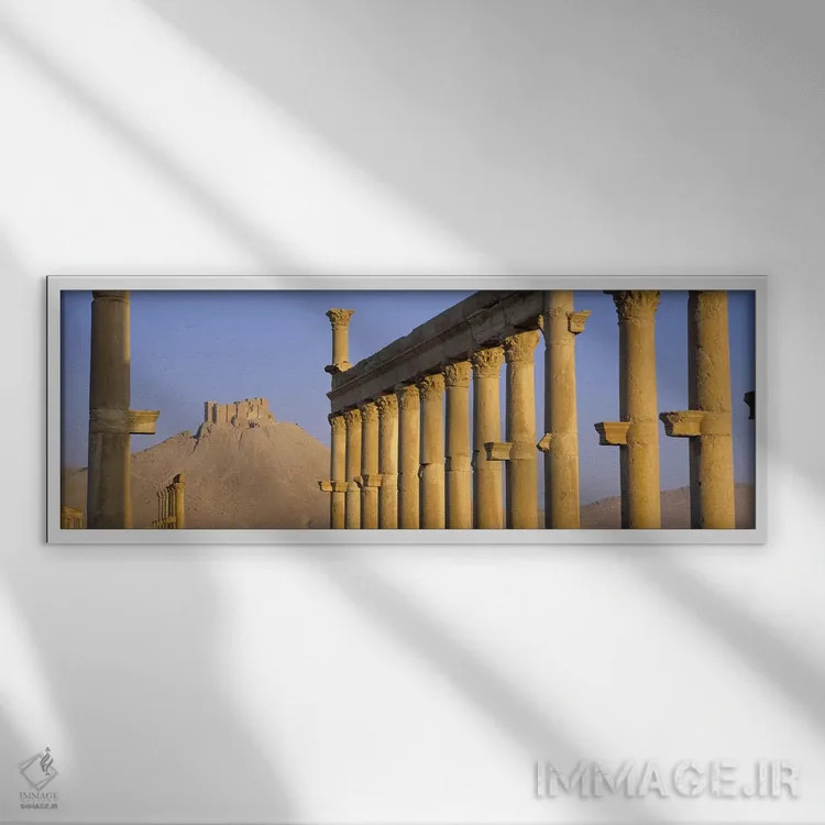 تابلو Palmyra, Syria,نمای زاویه پایین از ستونسرای بزرگ، پالمیرا (تدمر)، سوریه اثر پانورامیک ایمجز (استودیو عکاسی عریض) - نمای قابدار سفید