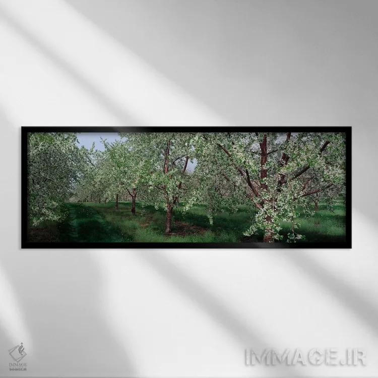 تابلو نمای شکوفههای بهاری بر درختان گیلاس اثر پانورامیک ایمجز (استودیو عکاسی عریض) - نمای قابدار مشکی
