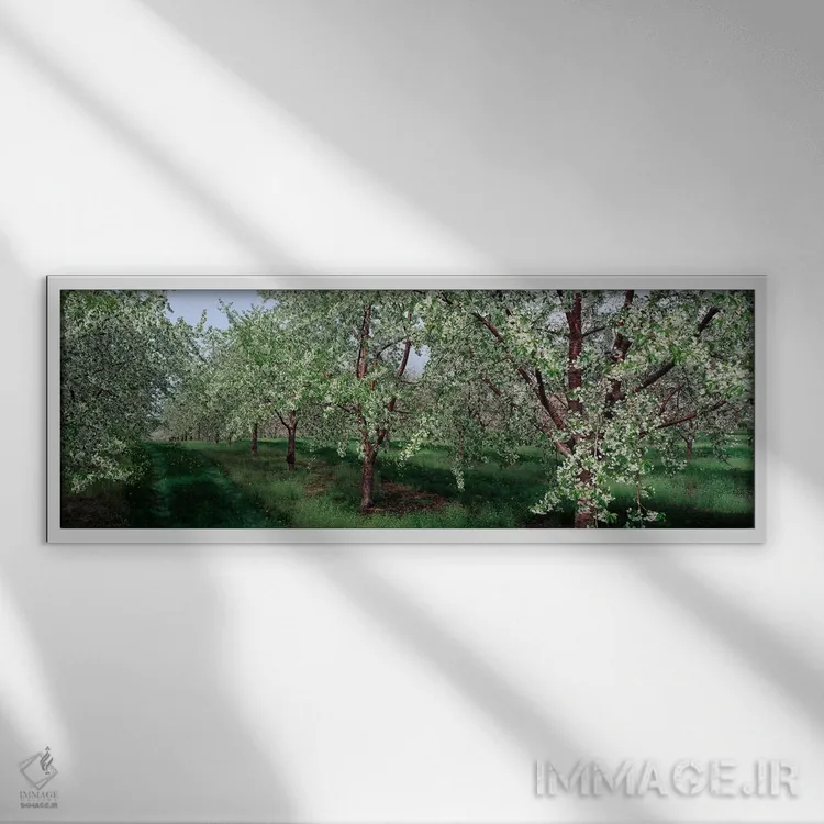 تابلو نمای شکوفههای بهاری بر درختان گیلاس اثر پانورامیک ایمجز (استودیو عکاسی عریض) - نمای قابدار سفید