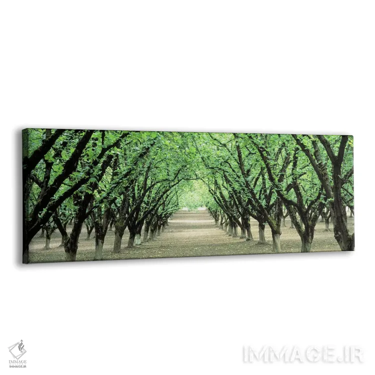 تابلو Dayton, Oregon, USA,باغ فندق، دیتون، اورگان، آمریکا اثر پانورامیک ایمجز (استودیو عکاسی عریض) - نمای پرسپکتیو محصول