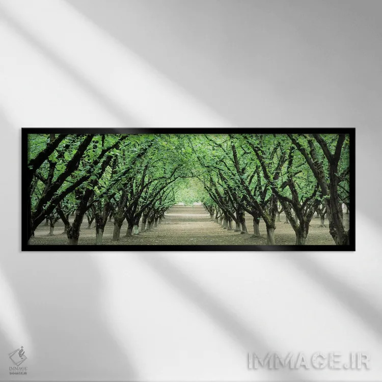 تابلو Dayton, Oregon, USA,باغ فندق، دیتون، اورگان، آمریکا اثر پانورامیک ایمجز (استودیو عکاسی عریض) - نمای قابدار مشکی