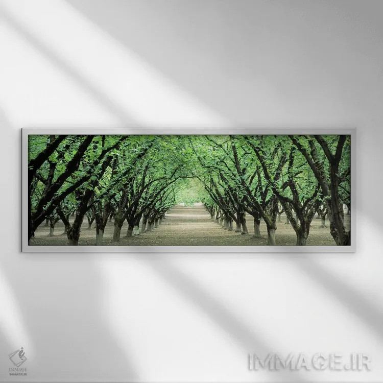 تابلو Dayton, Oregon, USA,باغ فندق، دیتون، اورگان، آمریکا اثر پانورامیک ایمجز (استودیو عکاسی عریض) - نمای قابدار سفید