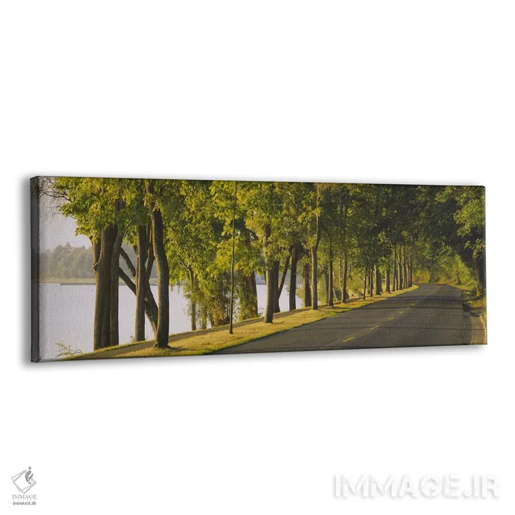 تابلو Lake Washington Boulevard, Seattle, Washington State, USA,درختان در امتداد جاده، بلوار لیک واشینگتن، سیاتل، ایالت واشینگتن، آمریکا اثر پانورامیک ایمجز (استودیو عکاسی عریض) - نمای پرسپکتیو محصول