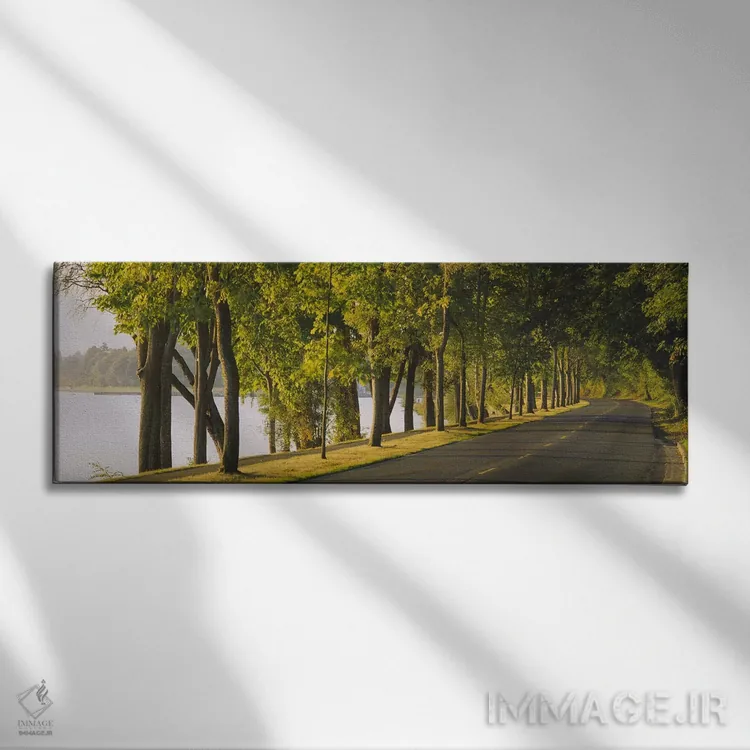 تابلو Lake Washington Boulevard, Seattle, Washington State, USA,درختان در امتداد جاده، بلوار لیک واشینگتن، سیاتل، ایالت واشینگتن، آمریکا اثر پانورامیک ایمجز (استودیو عکاسی عریض) - نمای روبهرو روی دیوار